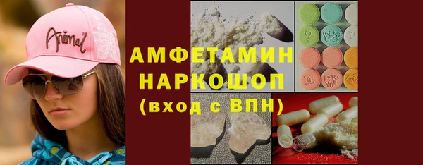 индика Бронницы