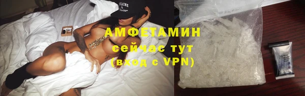 индика Бронницы