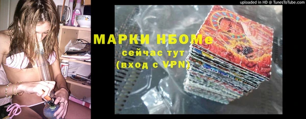 индика Бронницы
