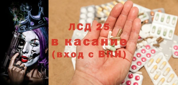 индика Бронницы