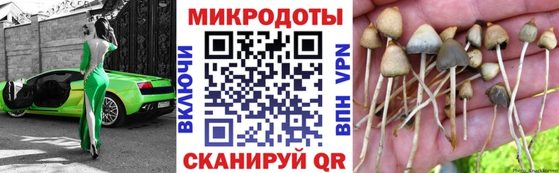 Галлюциногенные грибы ЛСД  blacksprut сайт  Демидов 