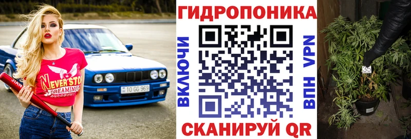 где купить наркоту  mega вход  Бошки Шишки план  Демидов 